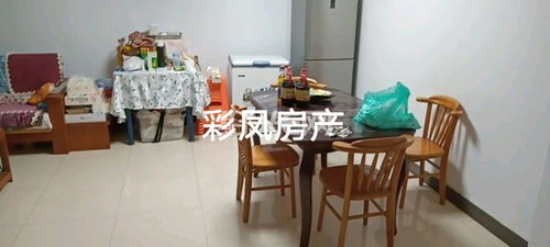 绍兴柯桥彩彩信息咨询服务部 专业化信息咨询服务的引领者